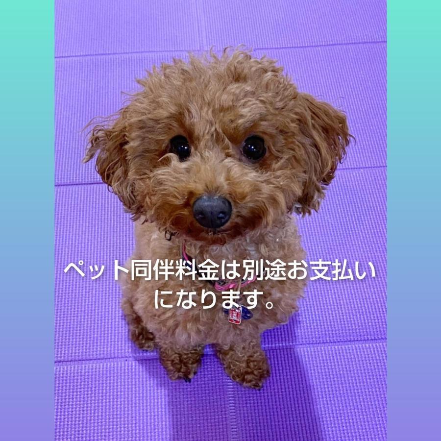 コインズホステル天神ペット宿泊可